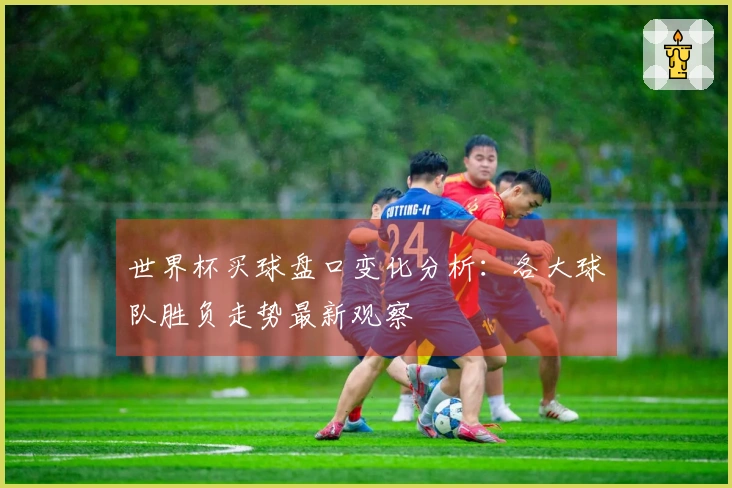 世界杯买球盘口变化分析：各大球队胜负走势最新观察