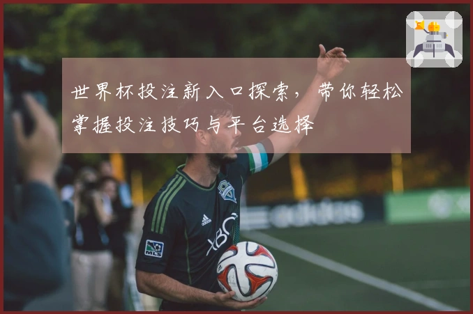 世界杯投注新入口探索，带你轻松掌握投注技巧与平台选择