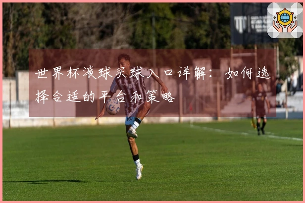 世界杯滚球买球入口详解：如何选择合适的平台和策略