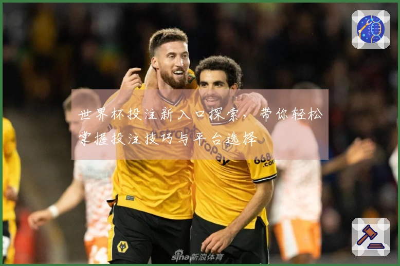 世界杯投注新入口探索，带你轻松掌握投注技巧与平台选择